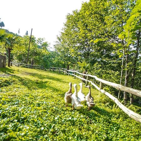 Oasis Gasamania Hotell Batumi Eksteriør bilde